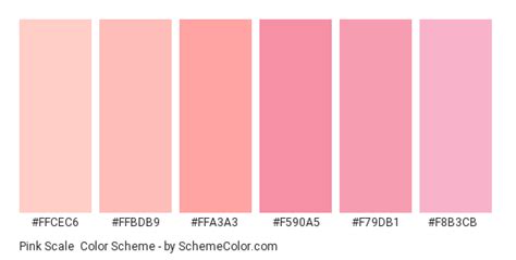 Pink Scale Color Scheme Monochromatic