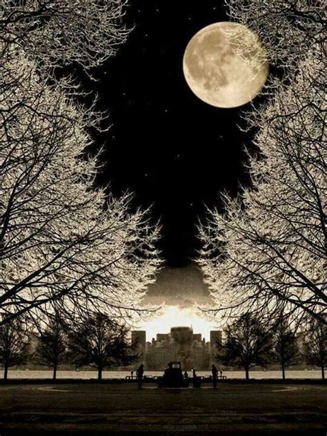 Beautiful Full Moon With Trees Beautiful Moon Nature Photography