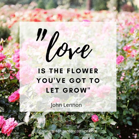 Top 999 Flower Images With Quotes Amazing Collection Flower Images