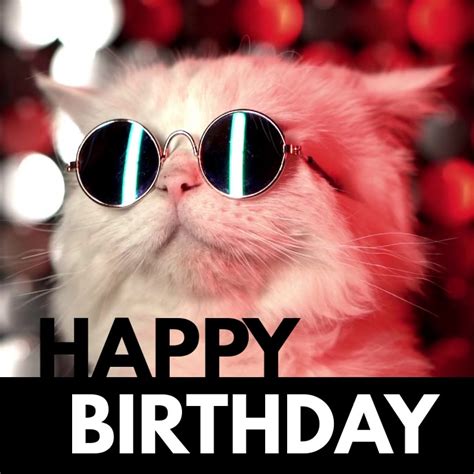 Happy Birthday Cool Cat Sunglasses Funny Wish Template Postermywall