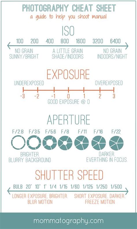 Printable Photography Cheat Sheet — Mommatography Photography Cheat