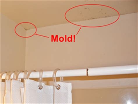 Many kinds—and colors—of mold exist. Toxic Mold