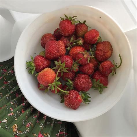 Which is better for you canned or frozen longan fruit? 𝒂𝒈𝒍𝒐𝒆𝒕𝒉𝒆𝒕𝒐𝒘𝒏 | Fruit, Food, Strawberry