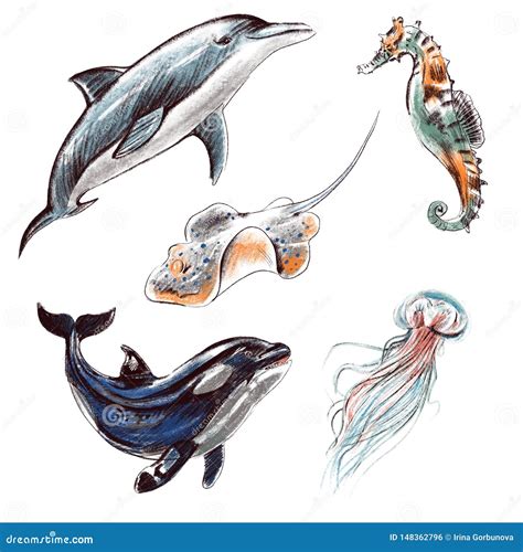 Sea Animals Drawing Realistic ~ ☮ Angelo Says May 2010 Efferisect