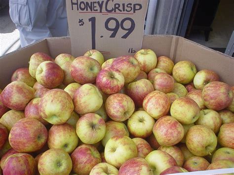 Dense rome apples are ideal for baking into cakes, breads and pies. Honey Crisp apples! In season and ready for baking and ...