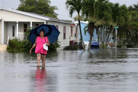 Hurricane Irma Most Florida Flood Zone Homes Uninsured Miami Fl Patch