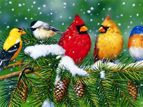 [43+] Birds and Blooms Winter Wallpaper - WallpaperSafari