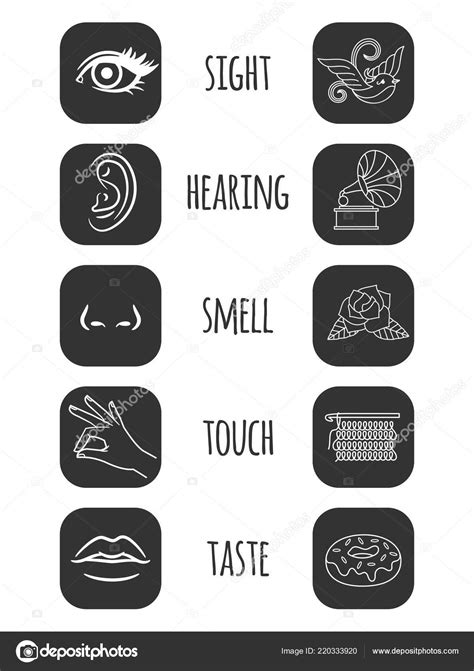 Five Senses Icons Vector Illustration Feelings Of Person — Stock