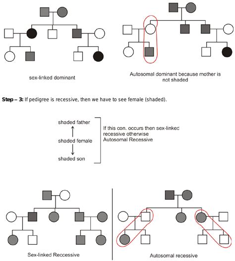 34 In Pedigree Chart Analysis How To Identity That Trait Is Sex Linked Or Autosomal
