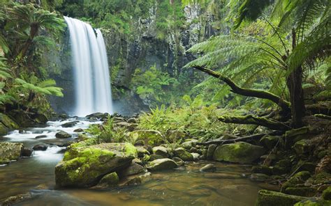Waterfall Rain Forest Wallpaper 2560x1600 32426