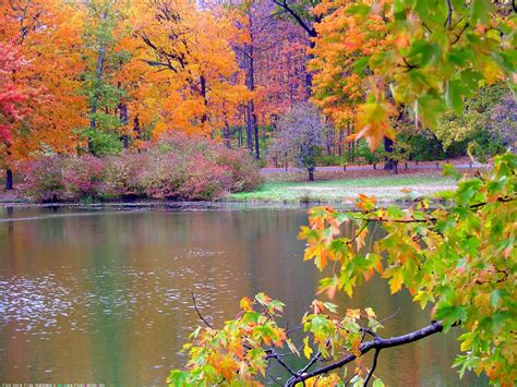 Nature Autumn Desktop Wallpaper Pics 68