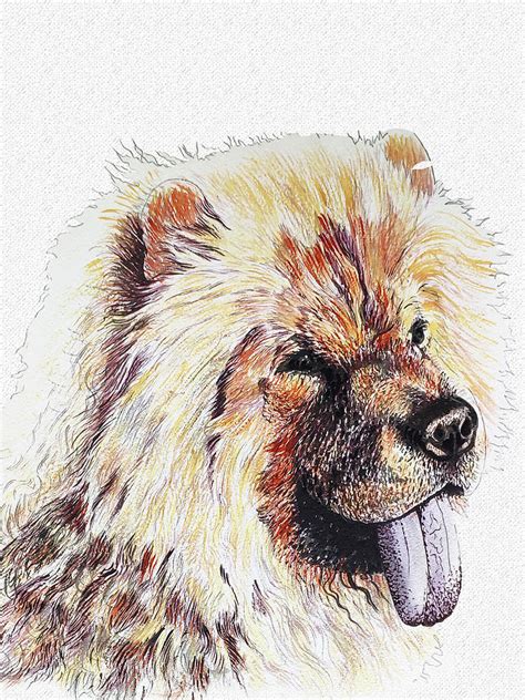 Chow Chow Portrait Painting By Asp Arts