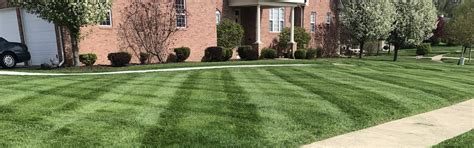 Landscaping Services In Southeast Michigan By Cut Right Lawn Care