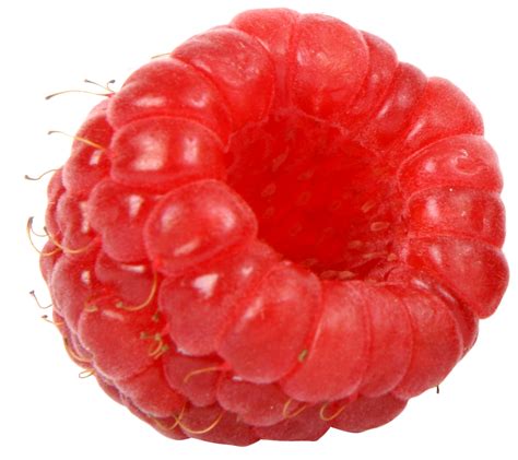 Raspberry Png Image Purepng Free Transparent Cc0 Png Image Library