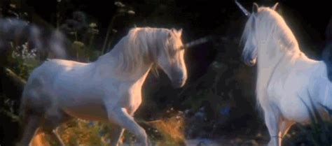 Besides, color correction and audio mixer will raise up your animated photo to a new level. Great Animated Unicorn Pegasus Gifs at Best Animations