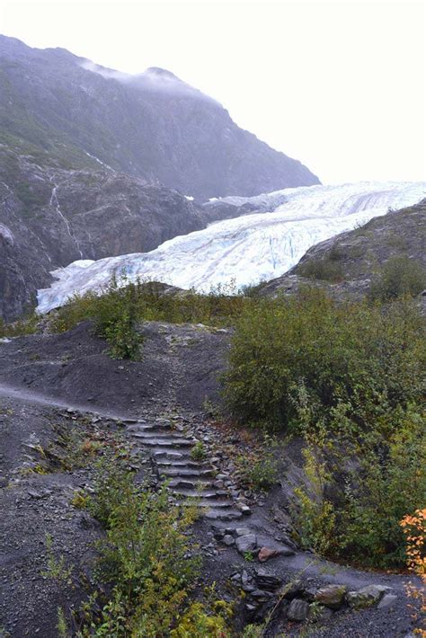 Exit Glacier Guided Walking Tour Alaska Collection