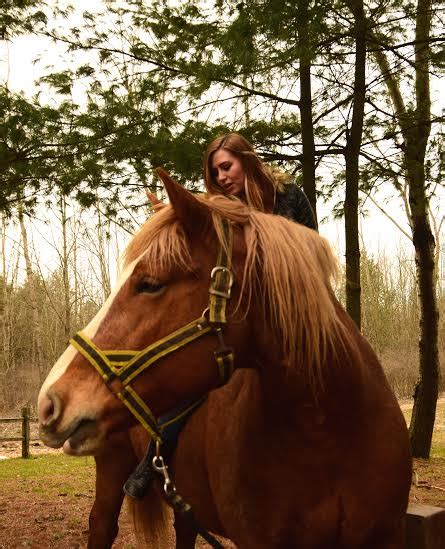 We did not find results for: sugarbush horse | Blandford Nature Center