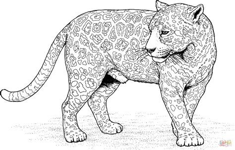 Coloriage Jaguar Qui Regarde En Arrière Coloriages à Imprimer Gratuits