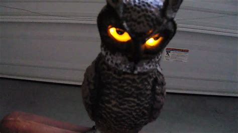 Haunted Tree Stump Candy Greeter With Owl 2 Youtube