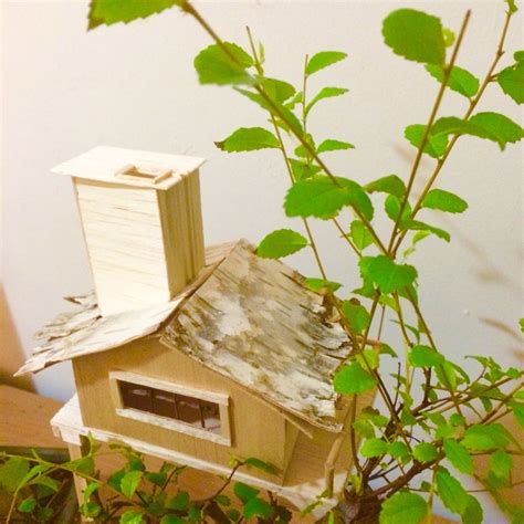 Последние твиты от the bonsai treehouse (@bonsaitreehouse). Top of Treehouse 4 | Tree house, Bonsai, Experiments