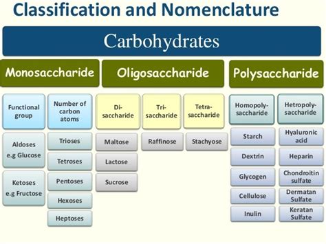 Classification Of Carbohydrates New Health Advisor