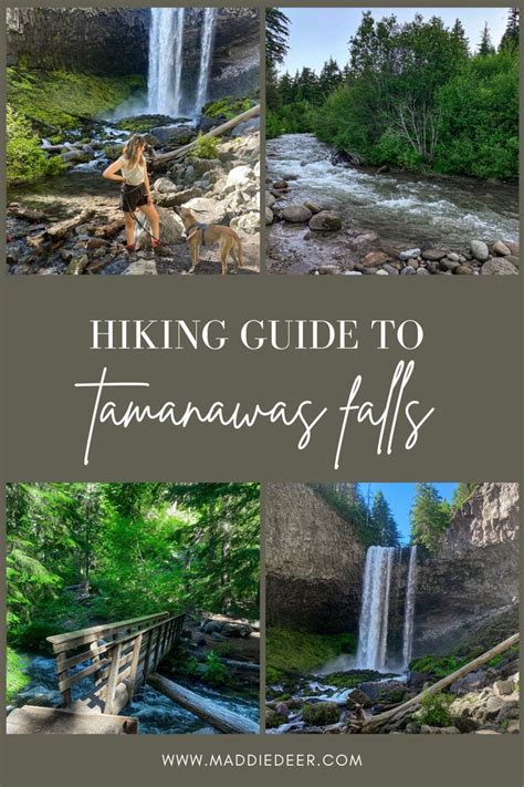Hiking Guide To Tamanawas Falls Mt Hood National Forest In 2022