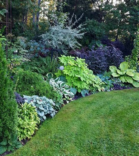 The Top 73 Shade Garden Ideas