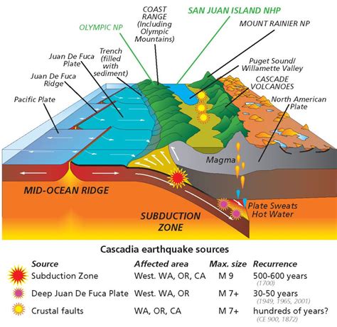 volcano diagram with tectonic plates volcano