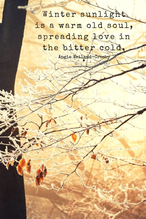 Winter Quotes To Make Your Soul Sparkle Mom Soul Soothers