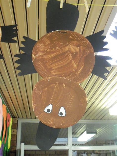 paper plate platypus thanksgiving activities  kindergarten animal