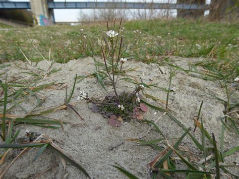 Betalingen aan ons kunnen de volgorde van de weergegeven prijzen. botanische-spaziergaenge.at • Thema anzeigen - 20.03.2014 ...