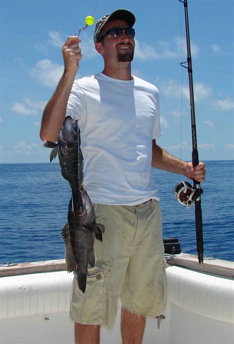 Black Sea Bass Regulations At Cape Hatteras