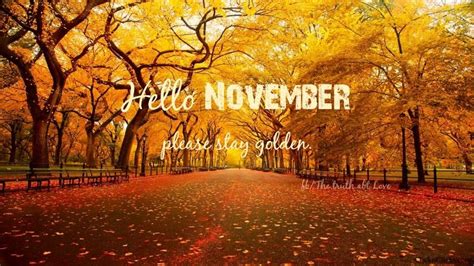 Hello November Pictures Photos And Images For Facebook