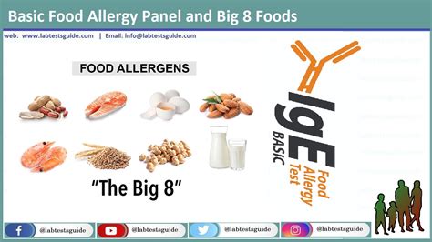 Basic Food Allergy Panel And Big 8 Foods Lab Tests Guide