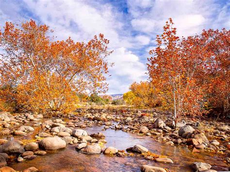 Fall Foliage Dry Beaver Creek Sedona Arizona Tandk Images Fine