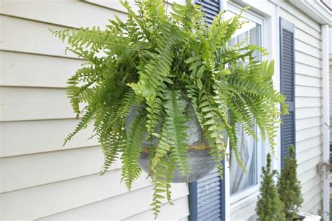 Front Porch Ideas And Designing The Outdoors Nesting With Grace