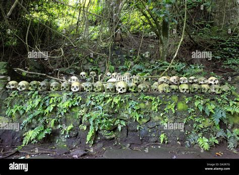 Wall Of Skulls At The Cemetery At The Bali Aga Village Of Trunyan Bali