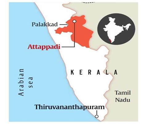 Chennai (formerly madras) tamil nadu is situated in southern india bordered by pondicherry, kerela, karnataka and andhra pradesh. Malli's tragedy: On death, loss and failed government schemes in Kerala's only tribal block ...