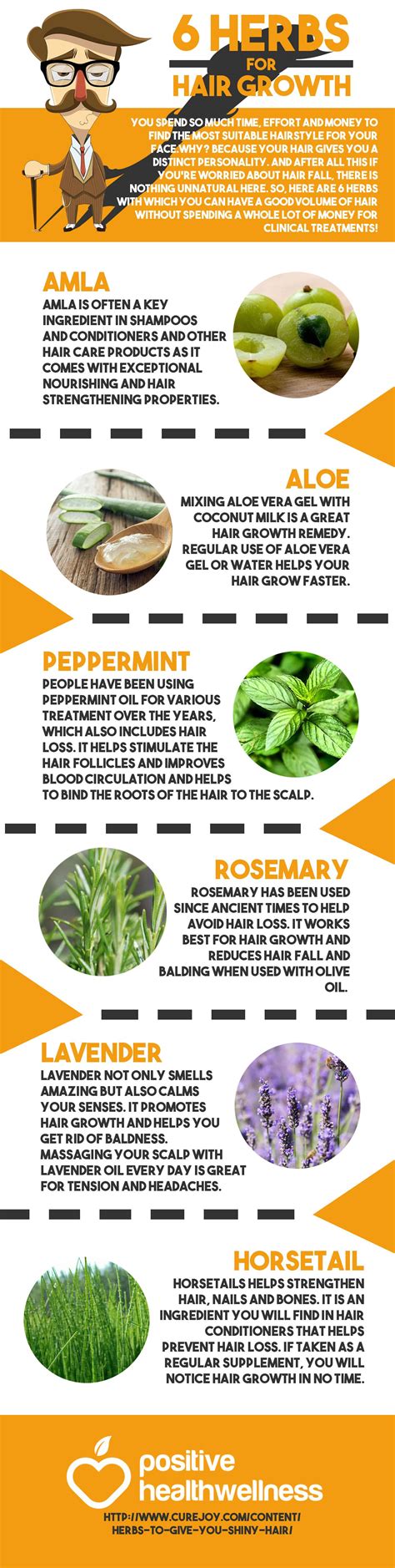 6 Herbs For Hair Growth Infographic