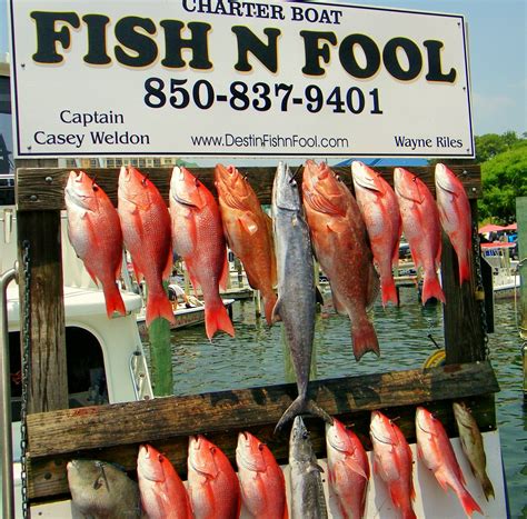 When Is The Best Red Snapper Fishing In Destin And Which