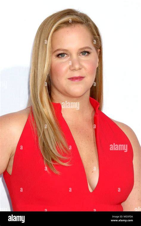 Los Angeles Ca Usa 17th Apr 2018 Amy Schumer At Arrivals For I