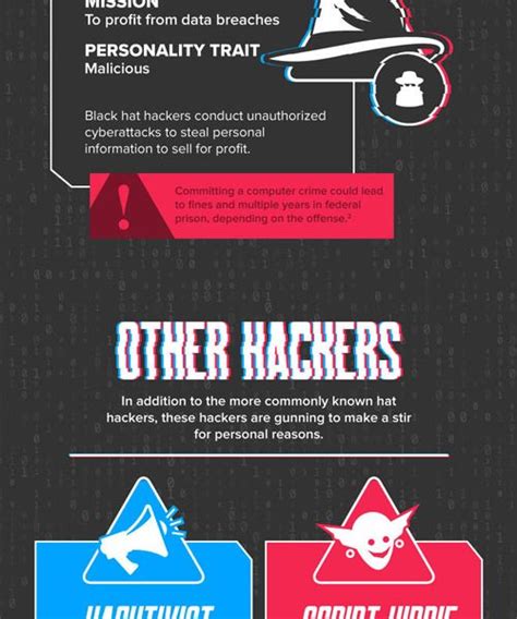 Different Types Of Hackers Infographic Best Infographics