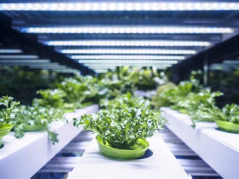 what is the future of container farming agfundernews