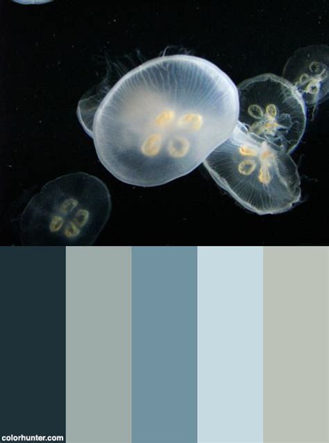Moonjellyfishcolorscheme Color Schemes Color Color Palette