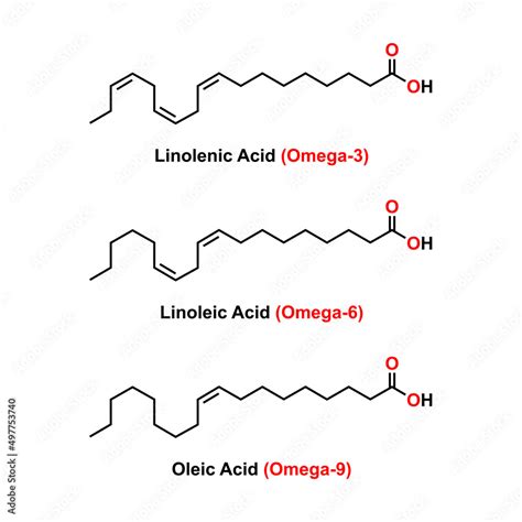 Chemical Structure Of Some Fatty Acids Linolenic Acid Linoleic Acid