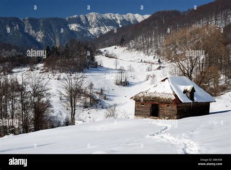 Winter Rural Landscape In Romania Sirnea Village Carpathian Mountains