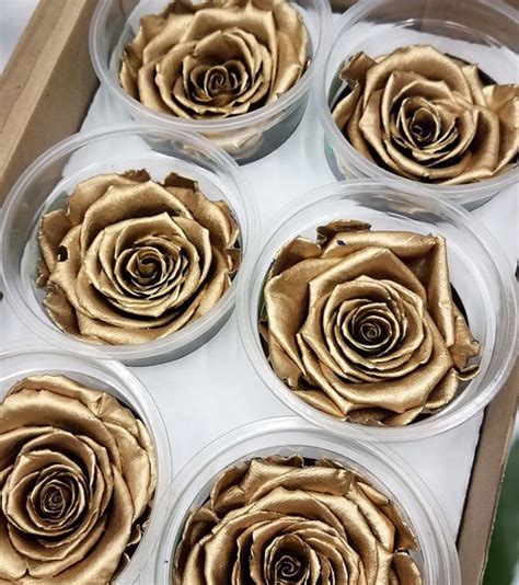 As one of the largest suppliers of artificial flowers australia wide, we know the maintenance and care that goes into keeping faux flowers looking their best. Gloria Heptinstall Blog: Preserved Flowers Wholesale ...