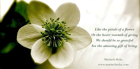 Find the best wildflower quotes, sayings and quotations on picturequotes.com. Flower Poems And Quotes. QuotesGram