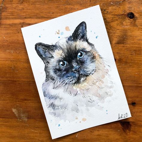 Ragdoll Cat Original Watercolour Painting Mixed Media Animal Etsy