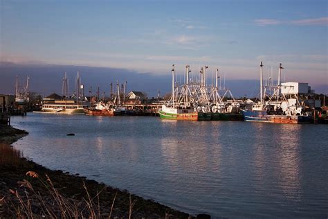 Cape May Fishing Boats Photograph By Tom Singleton Pixels